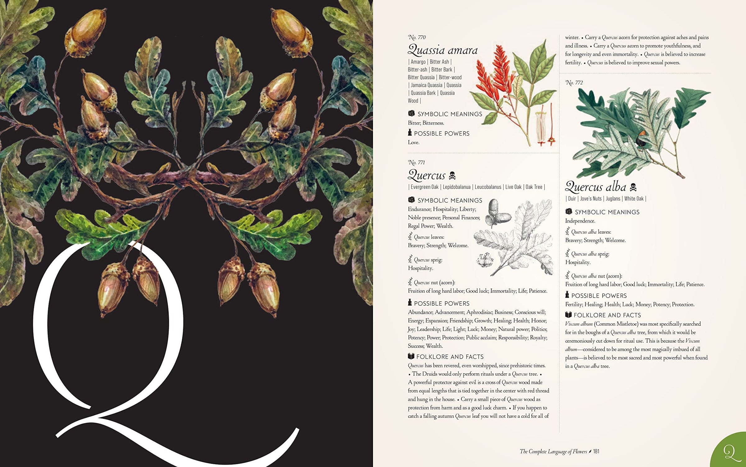 The Complete Language of Flowers: A Definitive and Illustrated