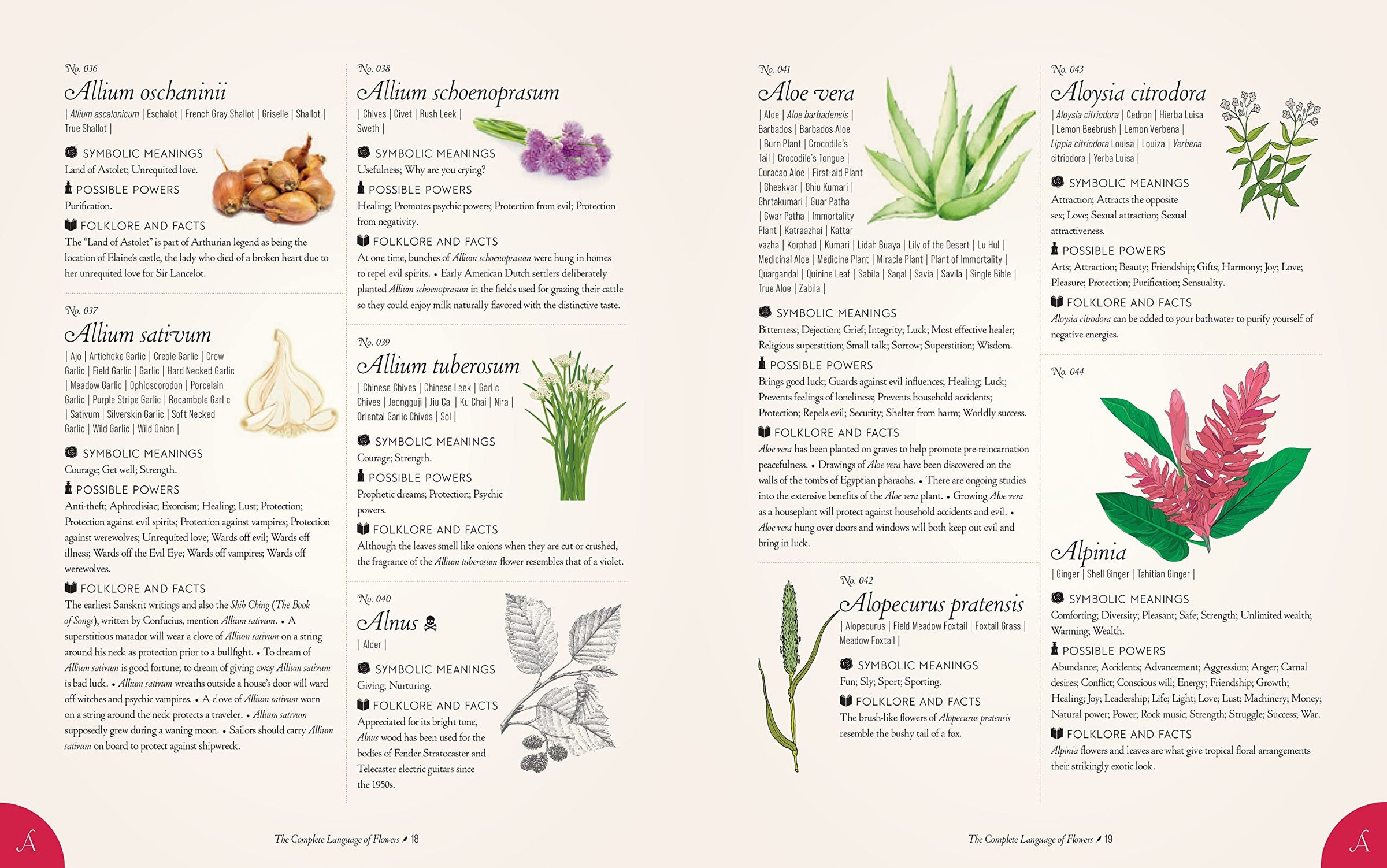 The Complete Language of Flowers: A Definitive and Illustrated History -  Pocket Edition (Complete Illustrated Encyclopedia) | Fiddleheads Home &  Garden